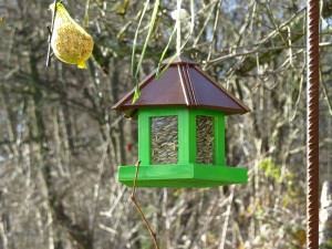 What is a good woodpecker deterrent?