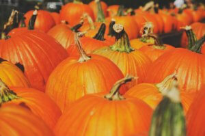 pumpkins